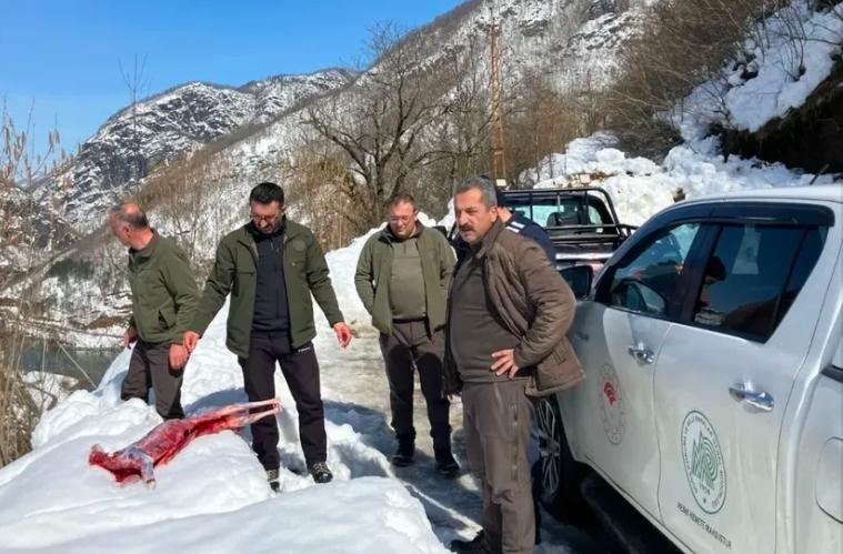 Artvin’de kaçak avcılar suçüstü yakalandı
?v=1