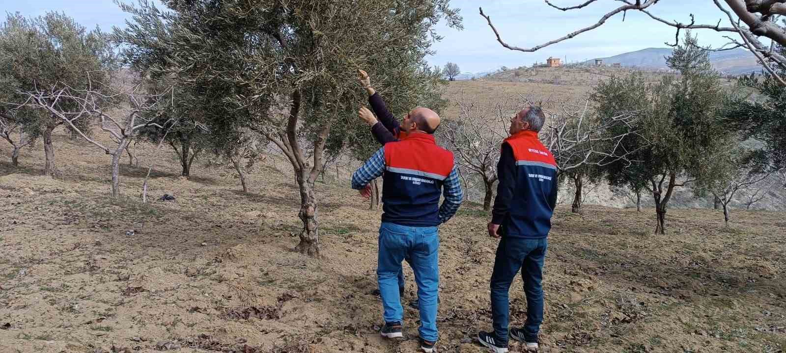 Siirt’te soğuk hava ve don kontrolleri yapıldı
?v=1