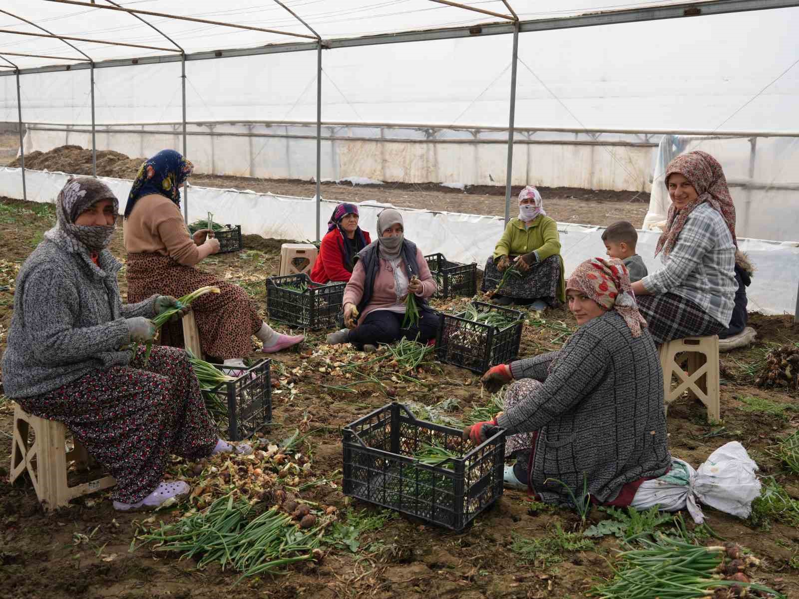 Doğu illeri karla mücadele ederken Iğdır’da seralarda üretim yapılıyor
?v=1