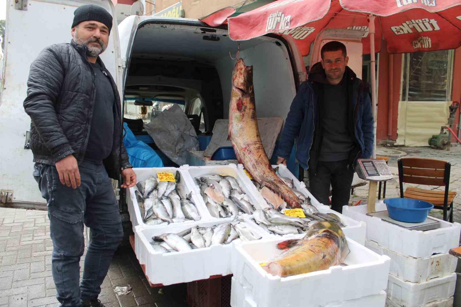 Kuraklık, barajlardaki balık popülasyonu etkiledi
?v=1