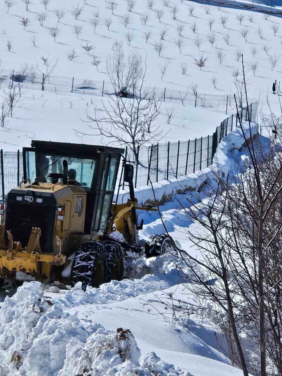 Elazığ’da kapanan köy yollarında çalışmalar sürüyor
?v=1