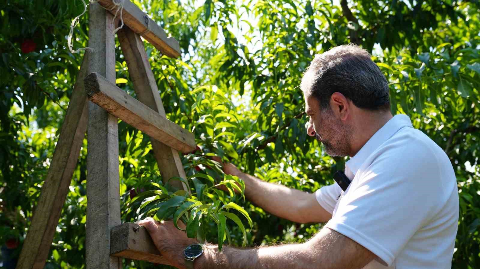 Gürsu’da ilçe tarımını dönüştürecek yeni proje
?v=1