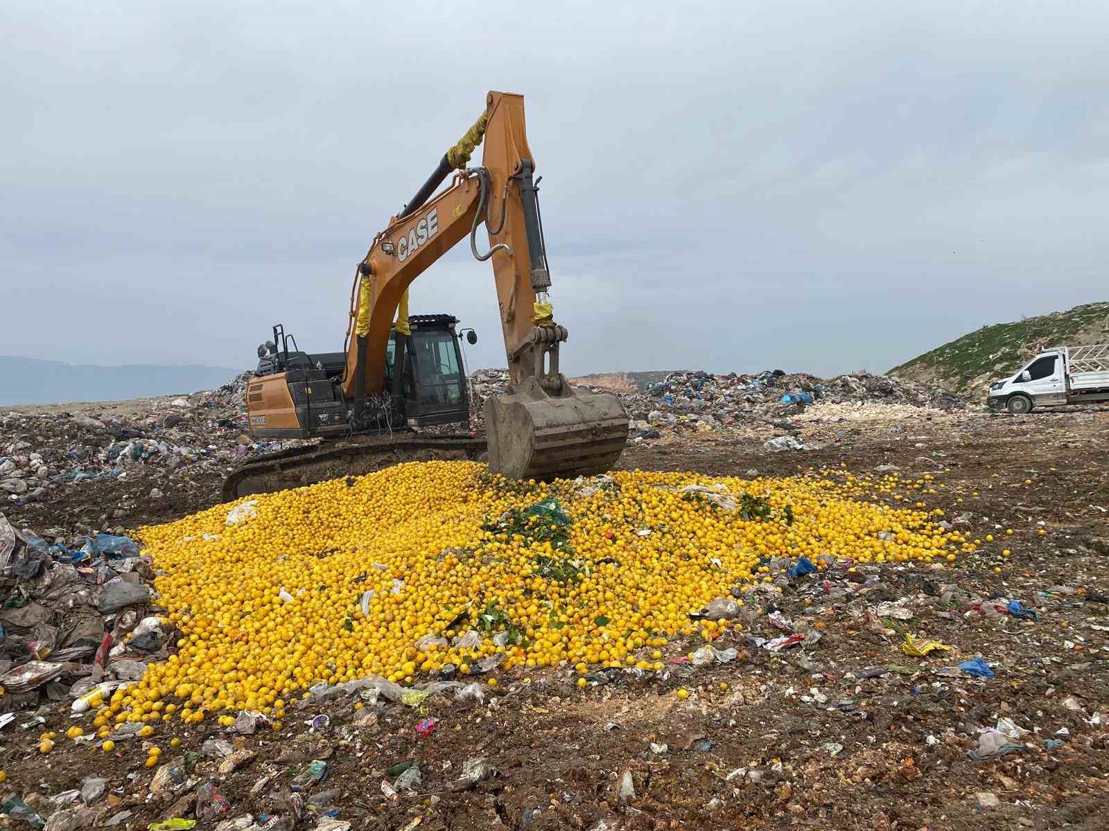 Pestisit tespit edilen Dubai’ye ihraç edilecek 71 ton limon imha edildi
?v=1