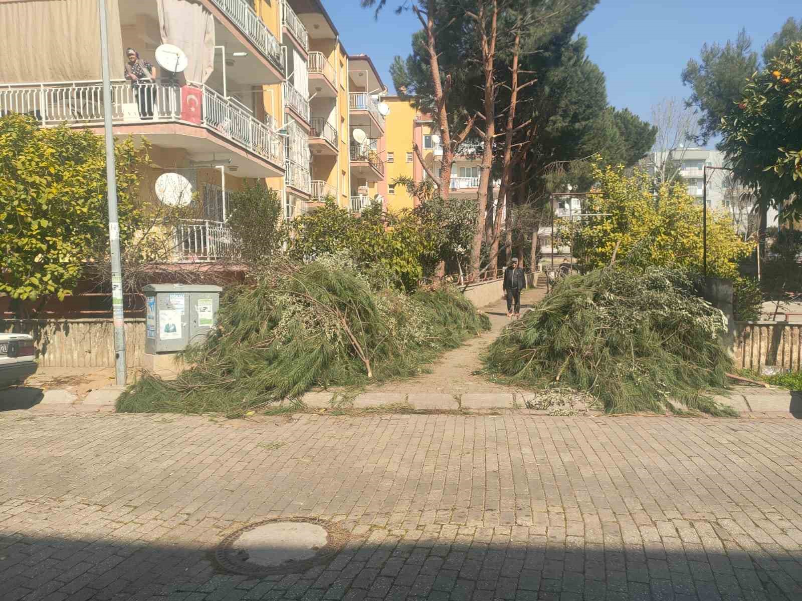 Efeler Belediyesi’nden budama atıkları uyarısı
?v=1