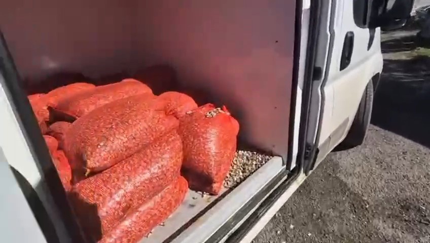 Samsun’da 1 ton 180 kilo kaçak midye ele geçirildi
?v=1