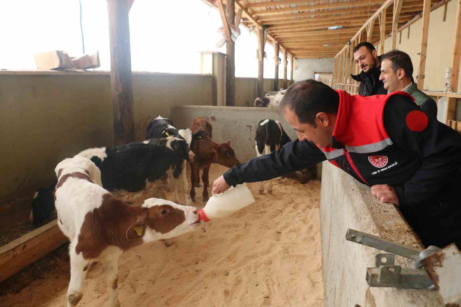 Erzincan’da büyükbaş hayvan işletmelerine arilik incelemesi
?v=1