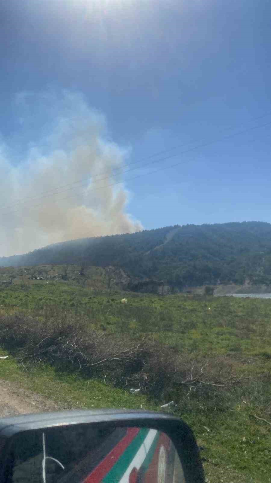 Çanakkale’deki orman yangınında 3 hektar alan zarar gördü
?v=1