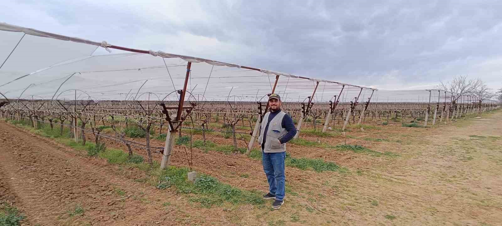 Manisalı çiftçiler don ve dolu riskine karşı tedbir almaya başladı
?v=1