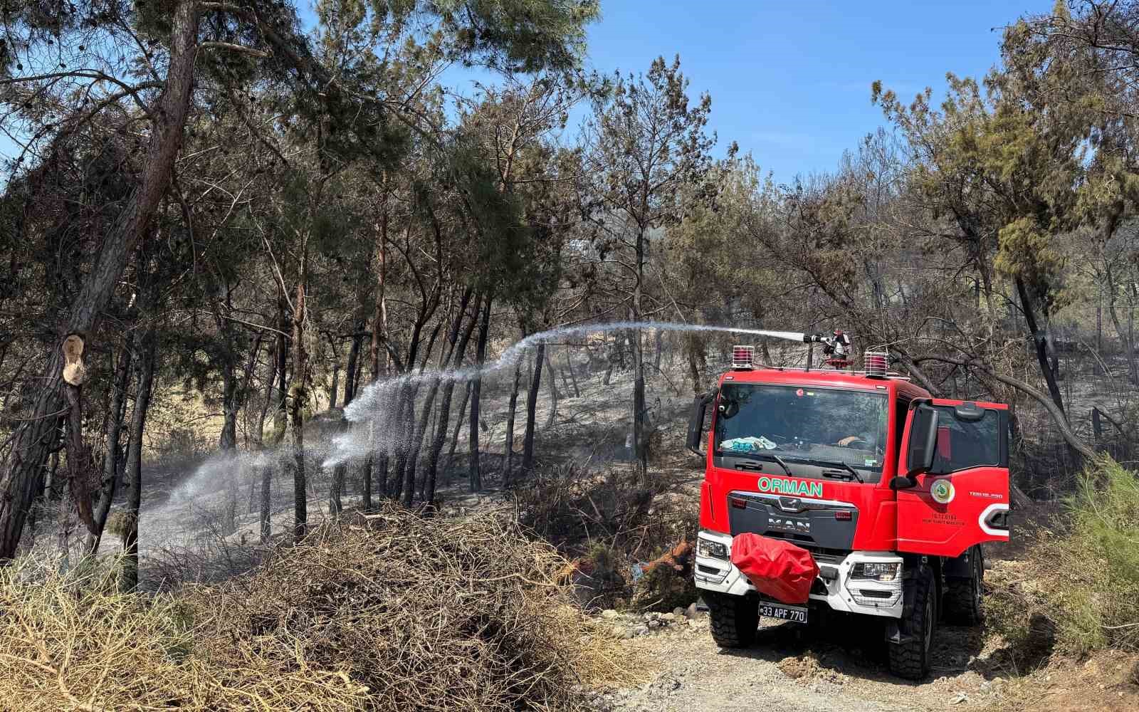 Mersin’de orman yangını: 1,5 hektar alan zarar gördü
?v=1