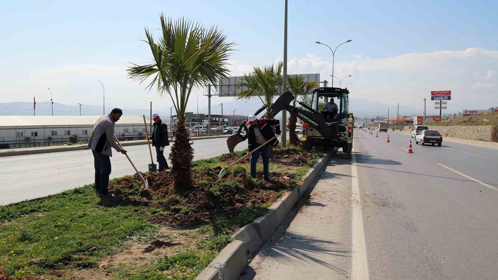 Kahramanmaraş’ta refüjler ağaçlarla süsleniyor
?v=1