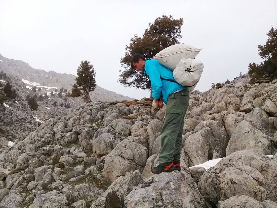 Kahramanmaraş’ta çiriş otu sezonu başladı
?v=1