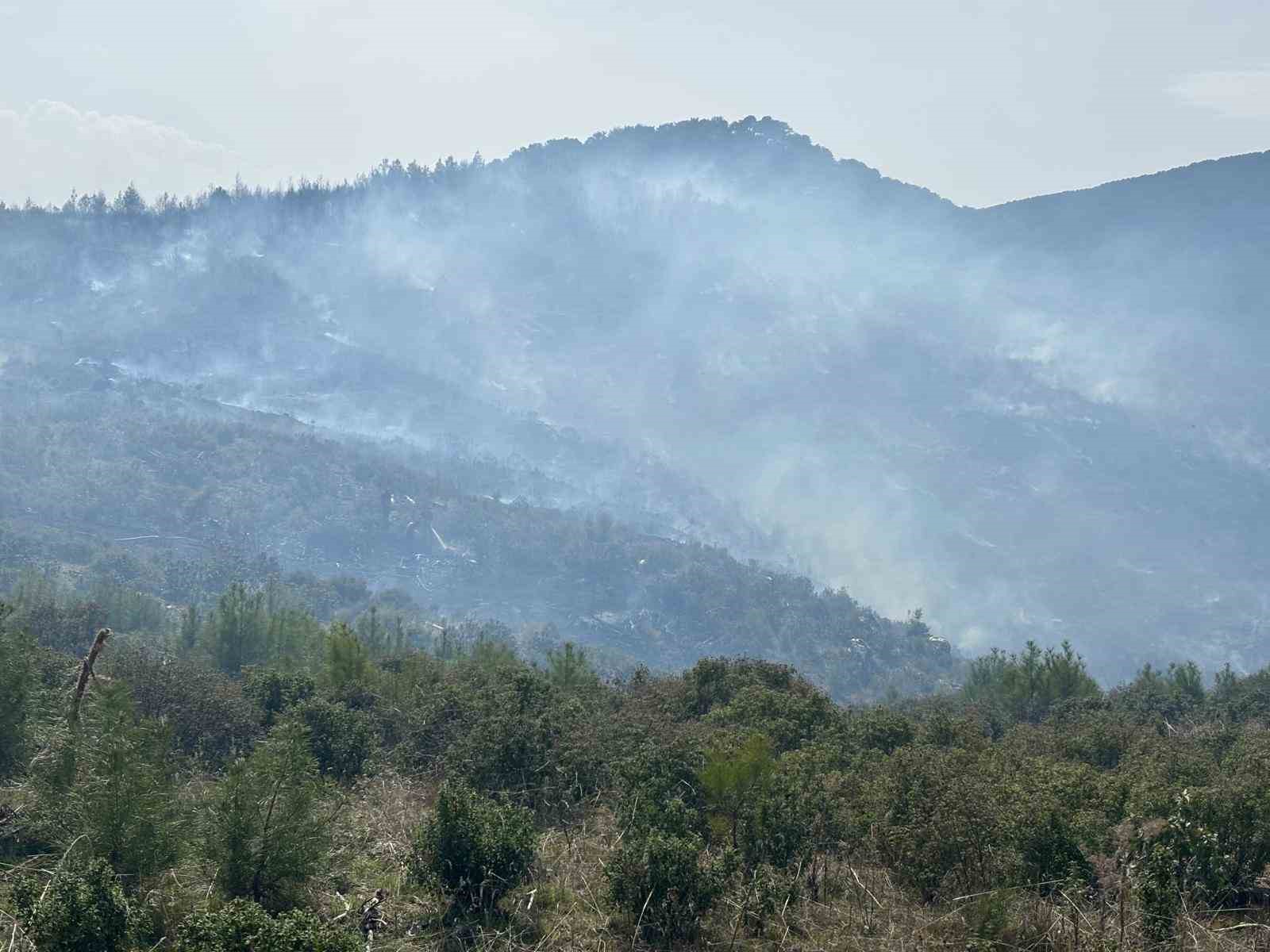 Bozdoğan’daki orman yangını kontrol altına alındı
?v=1