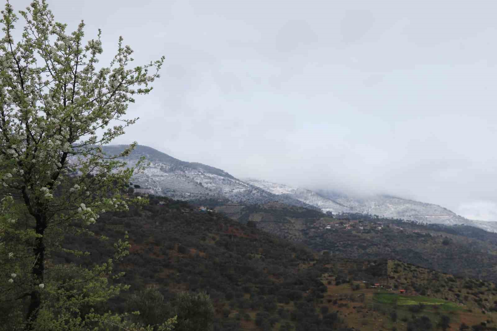 Aynı karede hem bahar, hem kış
?v=1