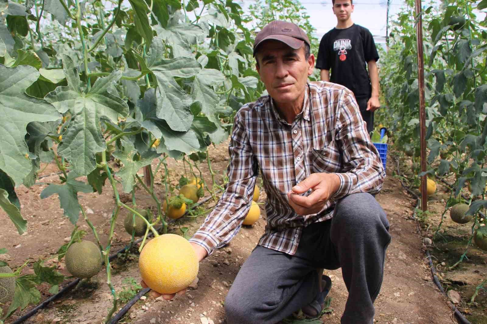  Bu mevsimde olmaz  dediler, 2 ton hasat yapıp kilosunu 200 TL’den sattı
?v=1