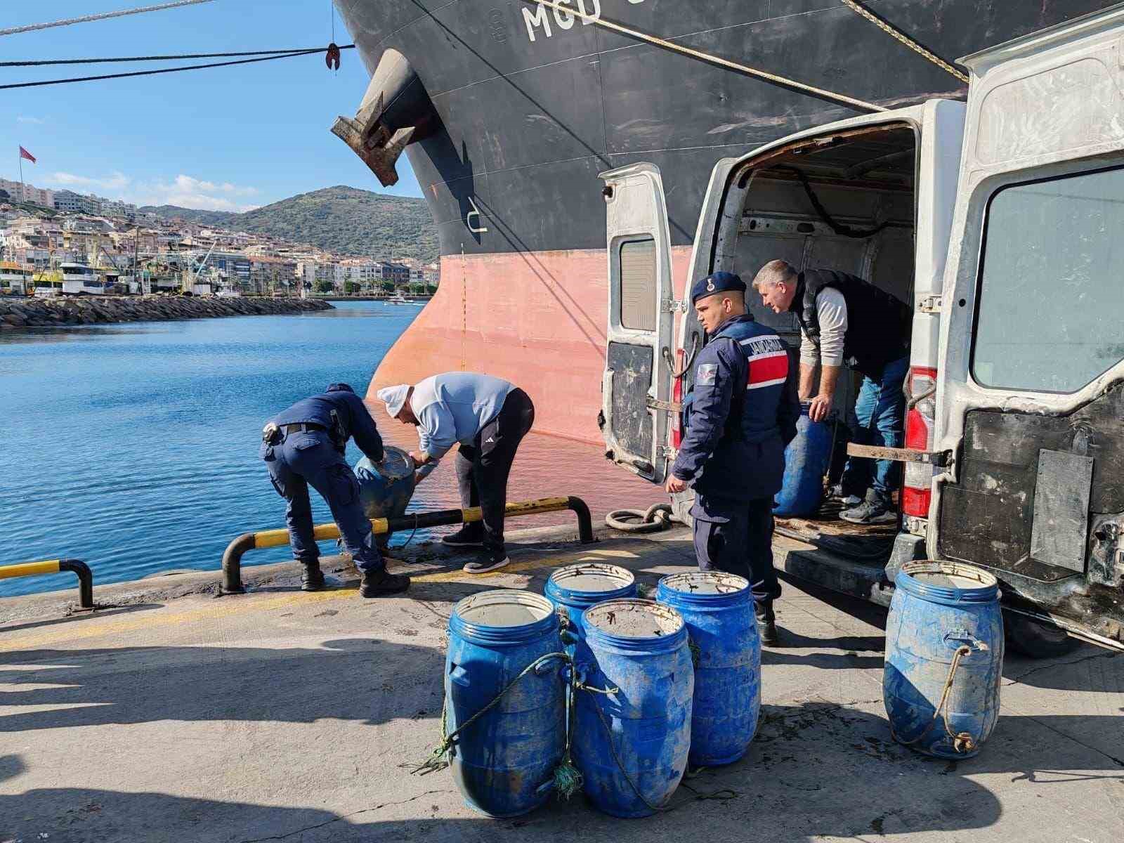 İzmir’de yasadışı yollarla avlanan deniz patlıcanları denize salındı
?v=1